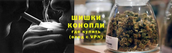дживик Баксан
