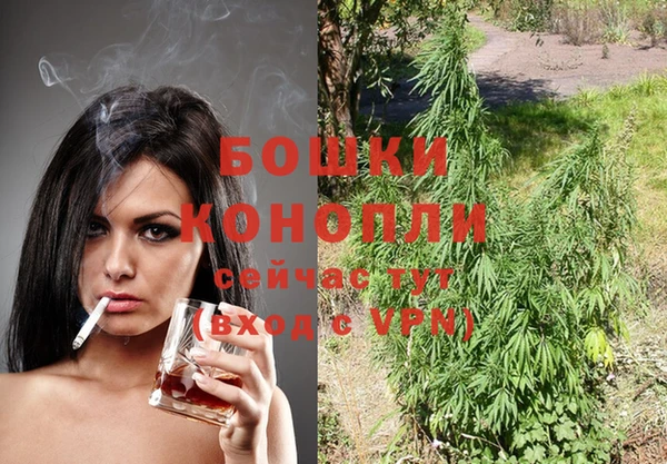дживик Баксан