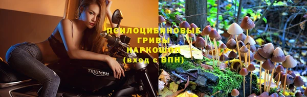 марки nbome Балахна