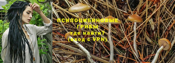 дживик Баксан